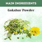 Herbal Hills Gokshur Powder | Grocsy