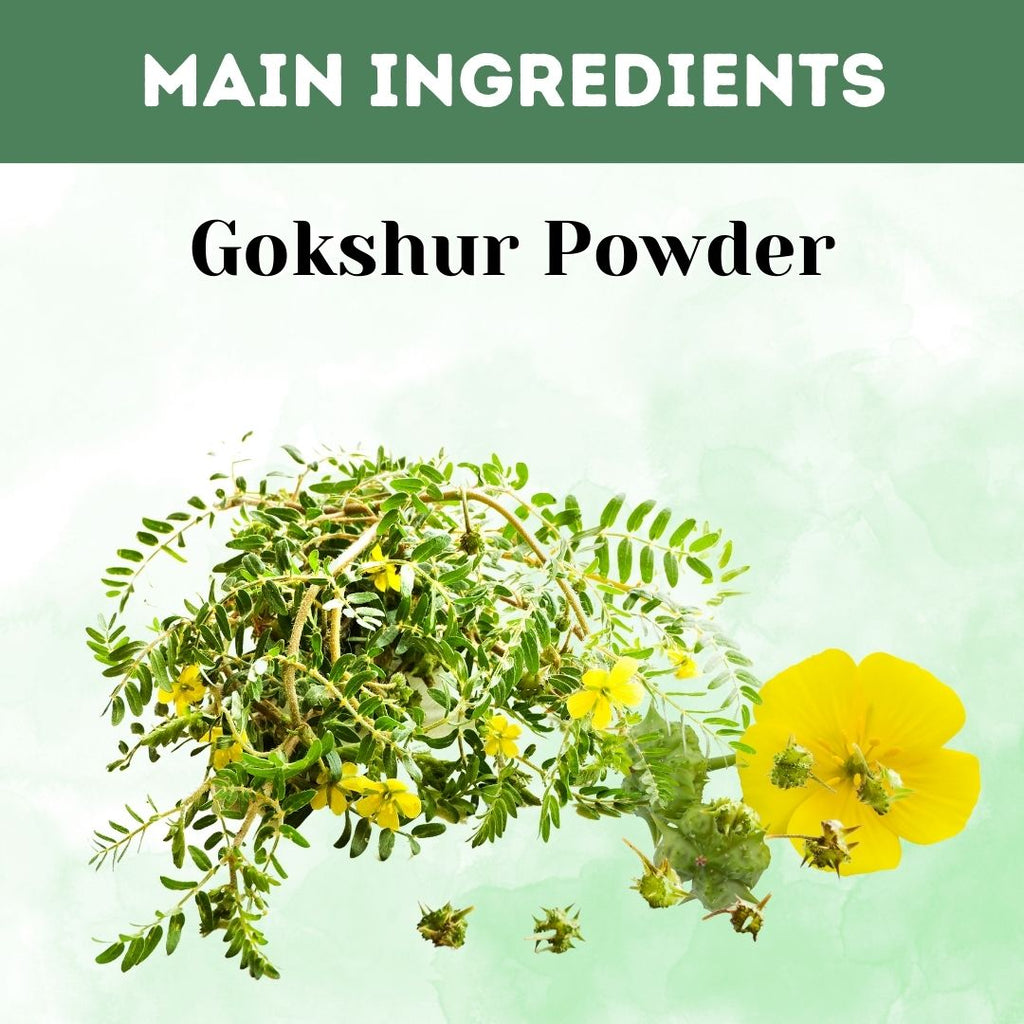 Herbal Hills Gokshur Powder | Grocsy