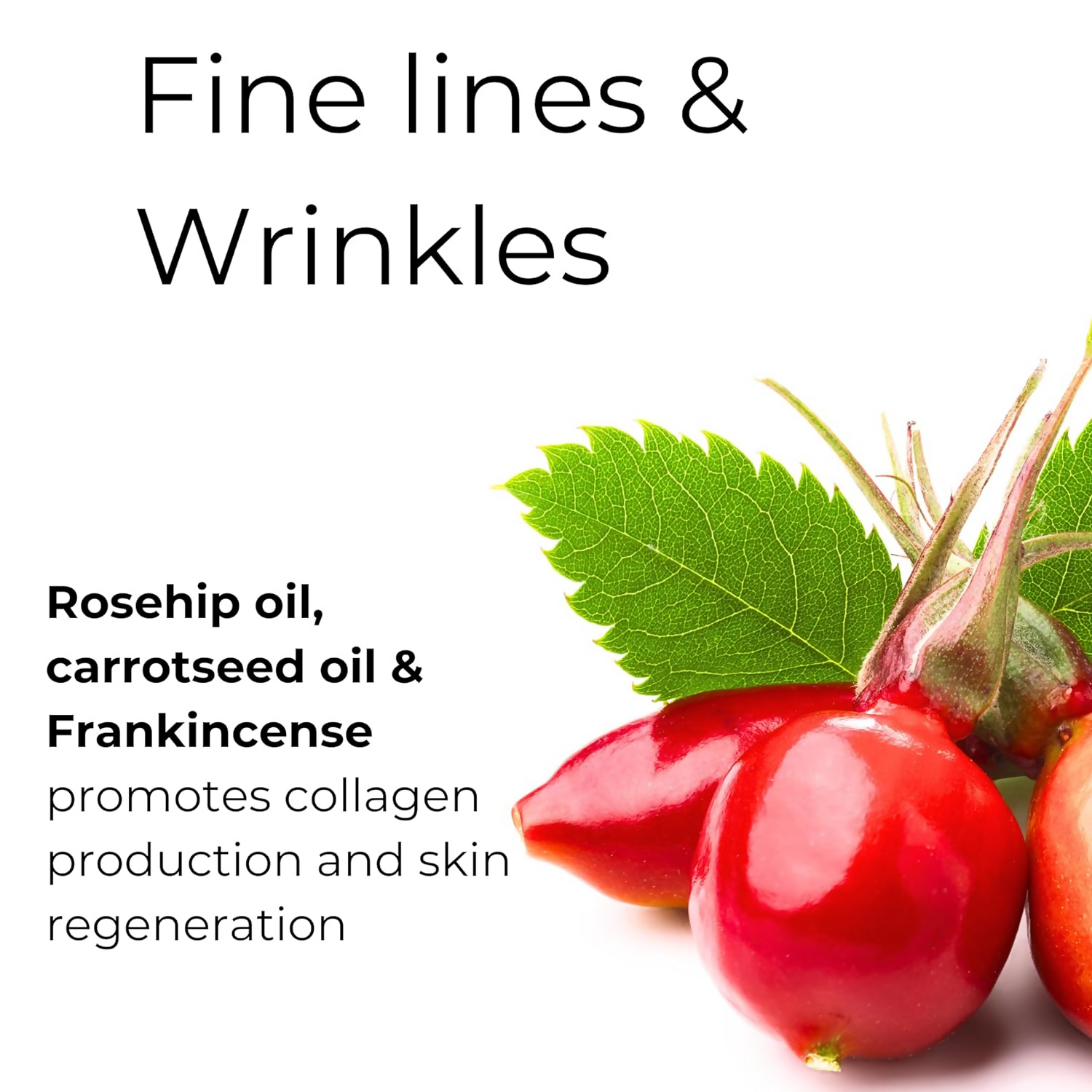 Noor Skincare Face Oil For Glowing Skin With Rosehip, Jojoba, Argan & Vitamin E | Grocsy