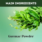 Herbal Hills Gurmar Powder