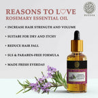 Buddha Natural Rosemary Essential Oil | Grocsy