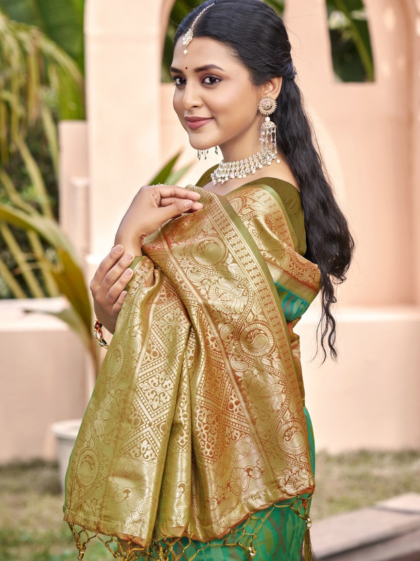 Anaita Green Silk Saree With Blouse Piece | Grocsy