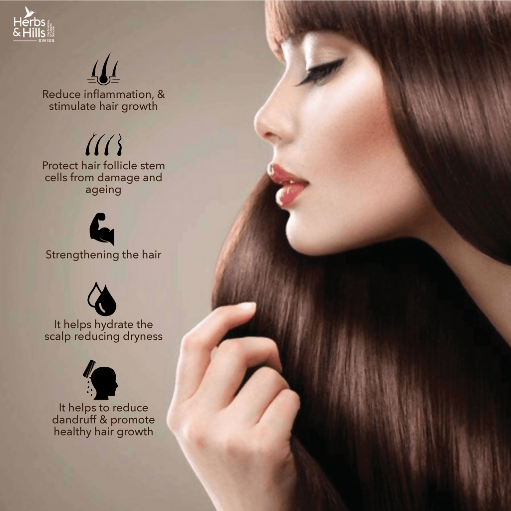 Herbs & Hills Intensive Hair Masque (Swiss Range) | Grocsy