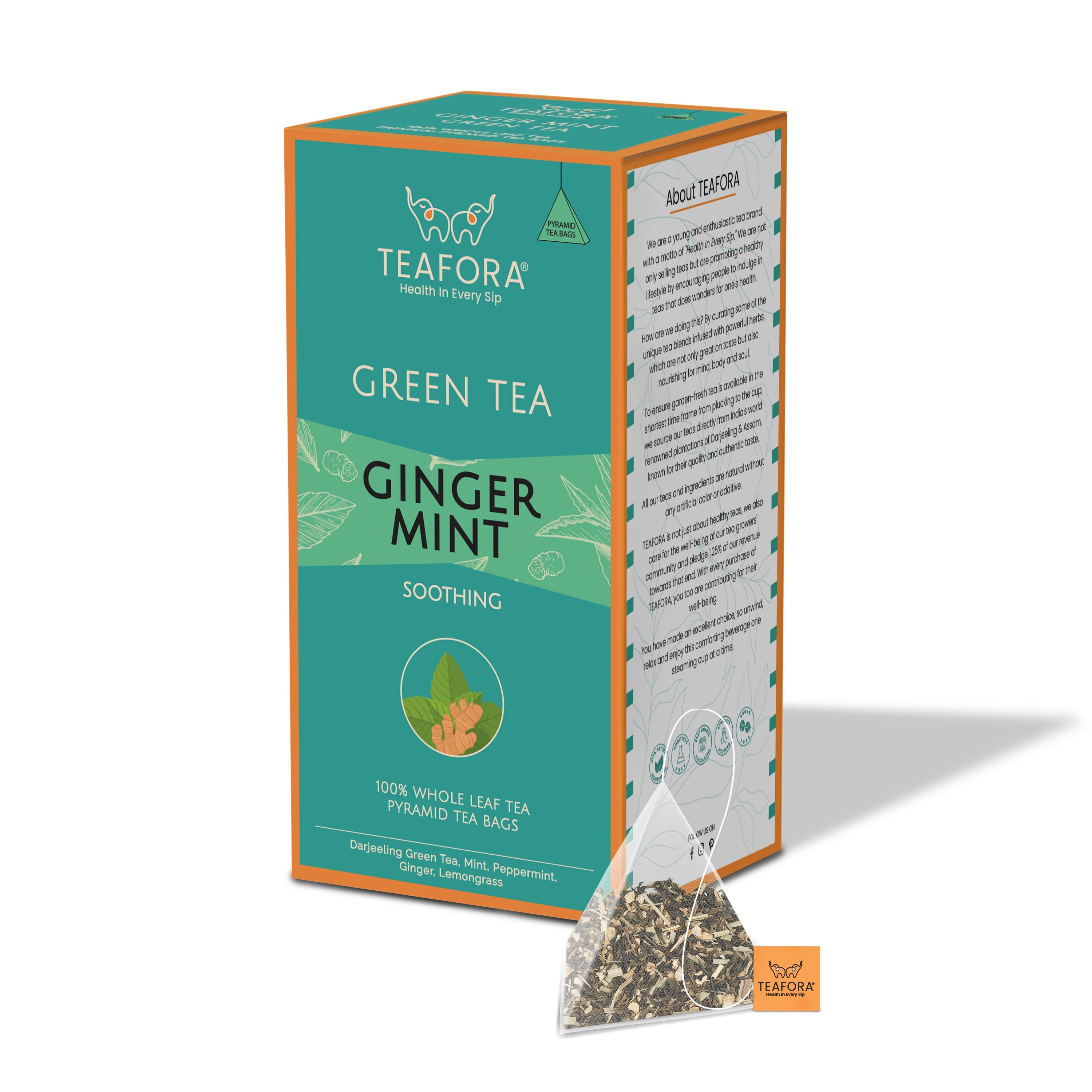 TEAFORA Ginger Mint Green Tea | 20 Count Pyramid Tea Bags | Grocsy