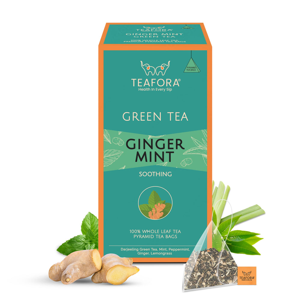 TEAFORA Ginger Mint Green Tea | 20 Count Pyramid Tea Bags | Grocsy