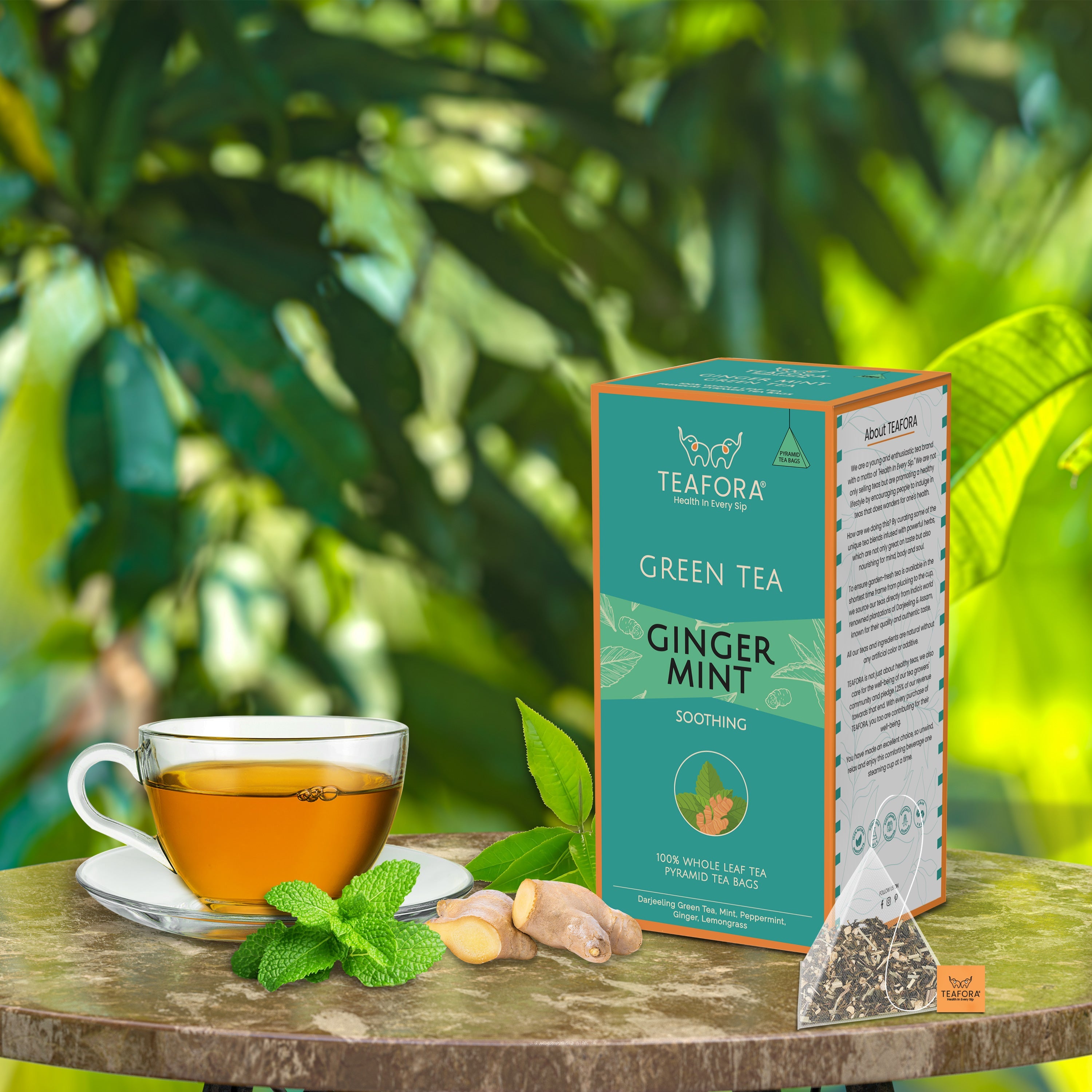 TEAFORA Ginger Mint Green Tea | 20 Count Pyramid Tea Bags | Grocsy