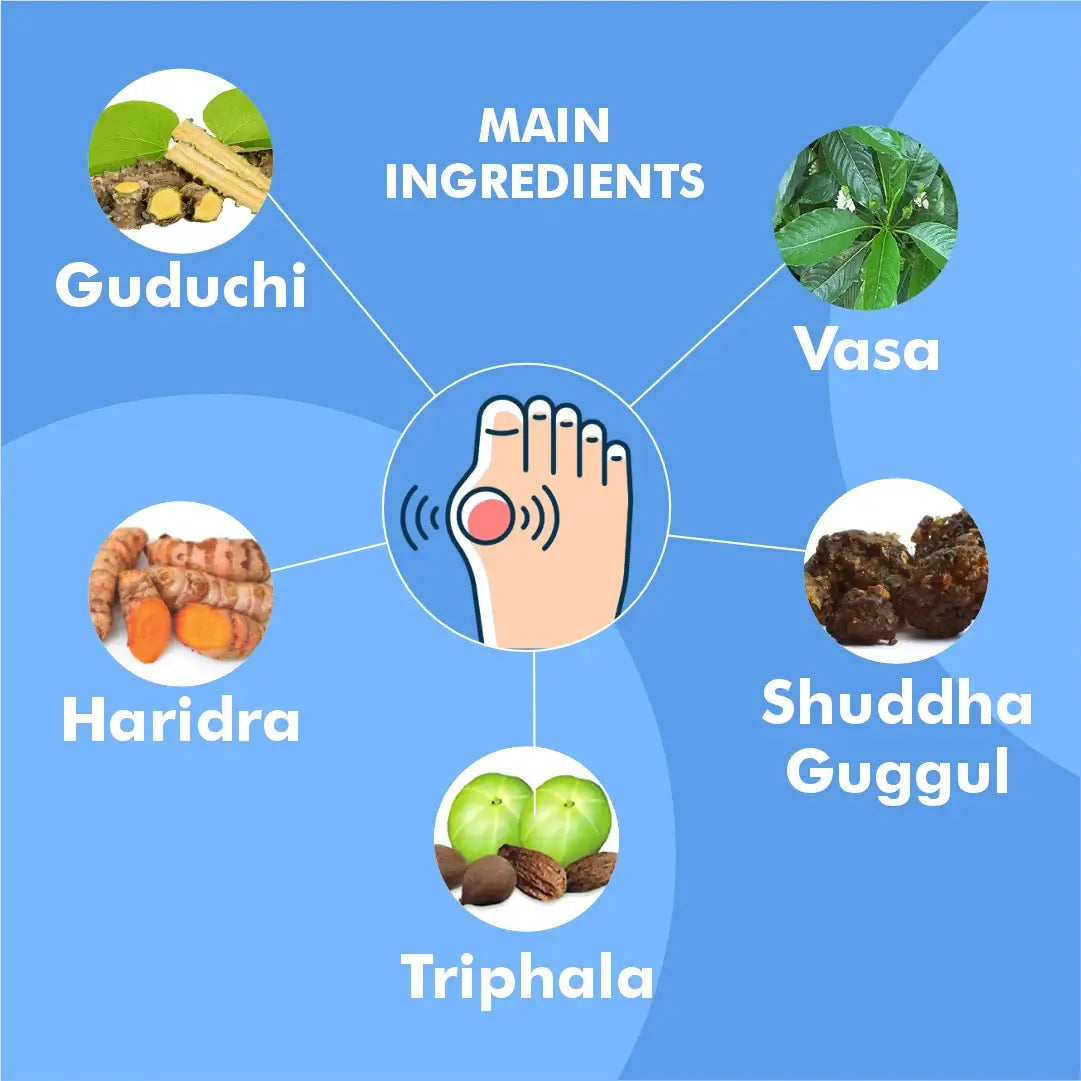 Herbal Hills Ayurveda Gautyhills Tablets | Grocsy