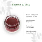 FOY Naturals Rose Tinted Lip Balm | Grocsy