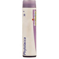 Boiron Homeopathy Phytolacca | Grocsy