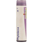 Boiron Homeopathy Phytolacca | Grocsy