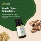 Kerala Ayurveda USA Gandharvahasthadi Castor Oil | Grocsy