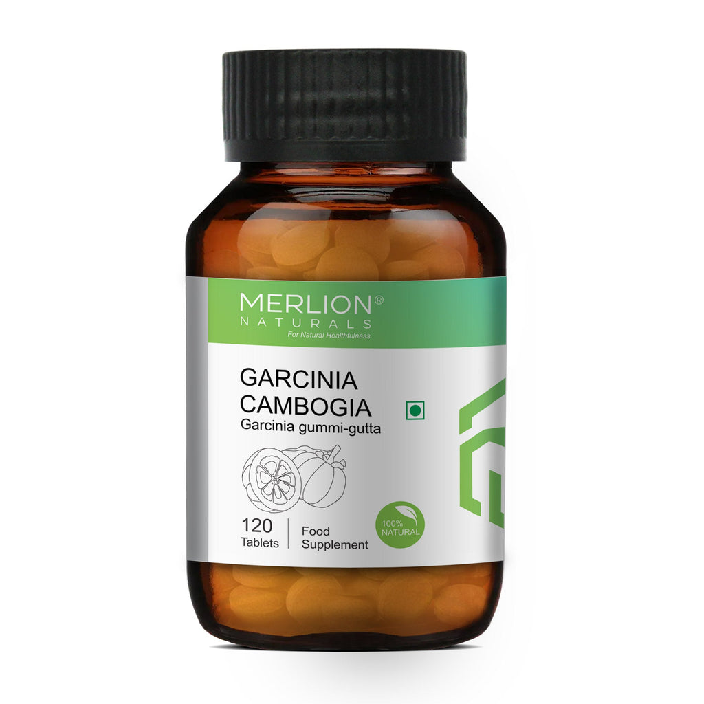 Merlion Naturals Garcinia Cambogia 500mg Tablets | Grocsy
