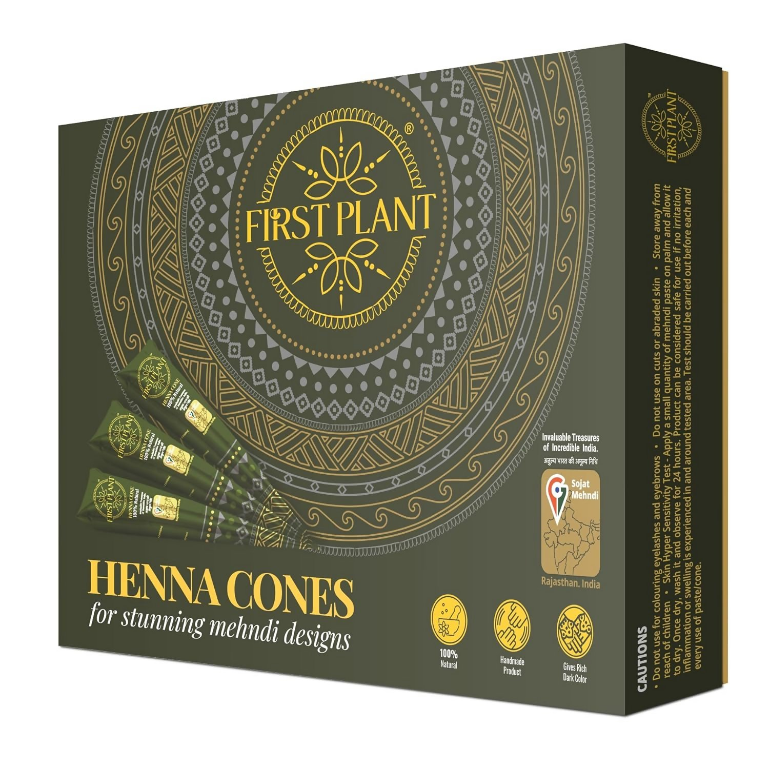 First Plant Premium Rajasthani Organic Henna Cone For Body Art | Grocsy