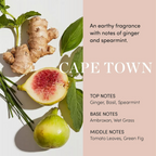 Ouai Scalp Serum | Grocsy