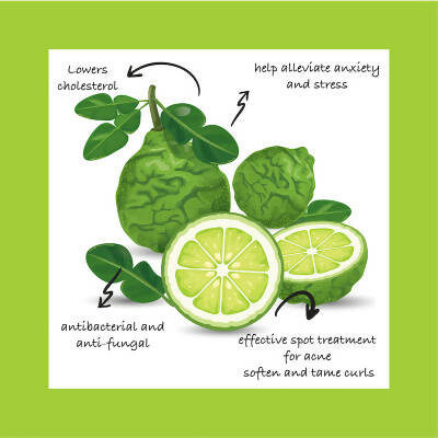Sarva by Anadi Bergamot Citrata Essential Oil | Grocsy