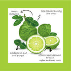 Sarva by Anadi Bergamot Citrata Essential Oil | Grocsy