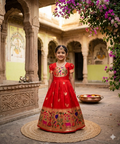 Evanik Red Soft Paithani Silk Zari Weaving Birds Pattern Kids Gown | Grocsy