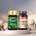 Jagat Pharma Giloy + Ashwagandha Capsules Immunity Builder & Stress Reliever Combo | Grocsy