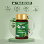 Jagat Pharma Giloy Extract Plus Capsule | Immunity Booster | Grocsy