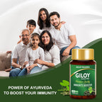 Jagat Pharma Giloy Extract Plus Capsule | Immunity Booster | Grocsy