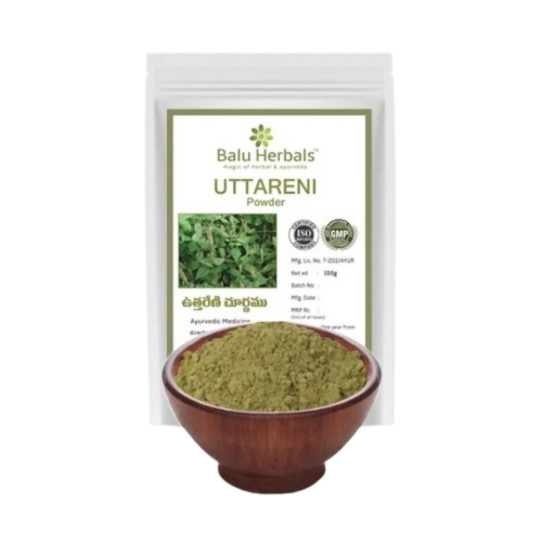 Balu Herbals Apang Seeds (Uttareni Ginjalu) Powder | Grocsy