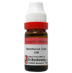 Dr. Reckeweg Sambucus Can Dilution | Grocsy