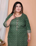 Miravan Womens Plus Size Green Zigzag Print Embroidery Rayon Straight Kurta | Grocsy