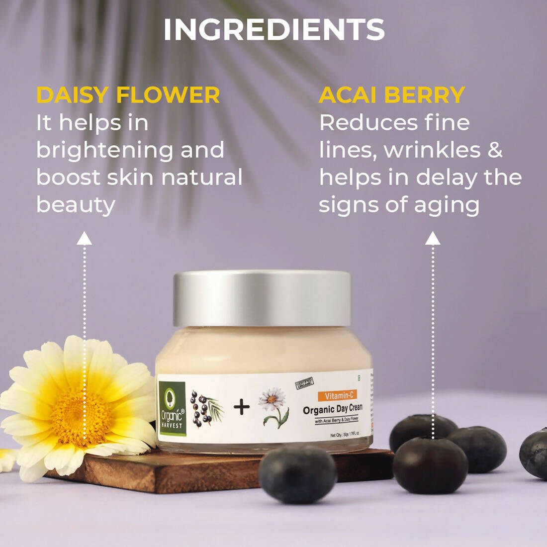 Organic Harvest Vitamin C Organic Day Cream | Grocsy
