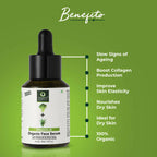 Organic Harvest Vitamin A Organic Face Serum with Broccoli & Aloe Vera | Grocsy