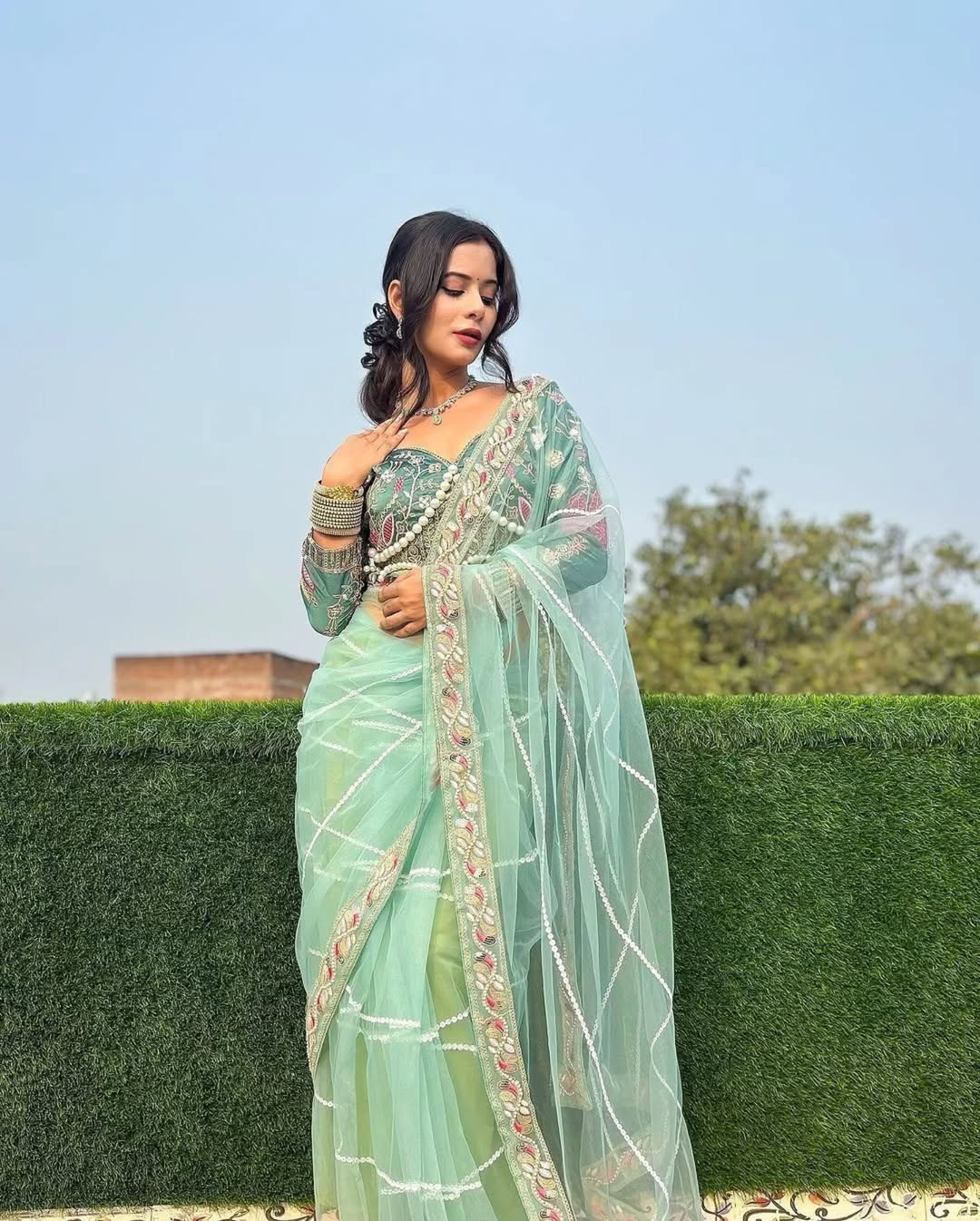 Teeya Creation Light Green Color Net Fabric Pearl Work Heavy Embroidery Work Saree | Grocsy
