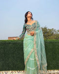 Teeya Creation Light Green Color Net Fabric Pearl Work Heavy Embroidery Work Saree | Grocsy