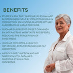 Tejaswani Herbs and Herbal Products Gudmar Powder | Grocsy