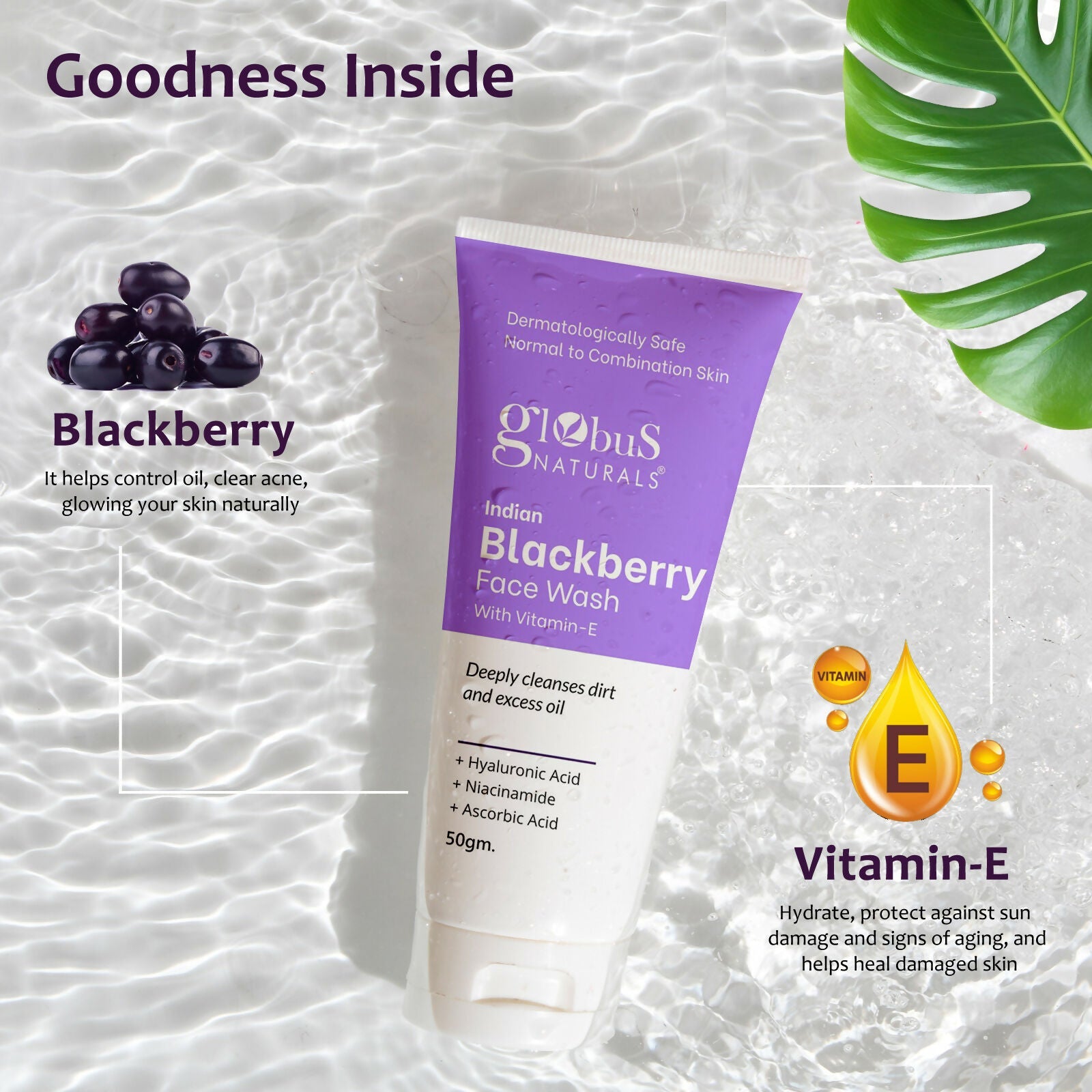 Globus Naturals Indian Blackberry Face Wash with Vitamin E | Grocsy