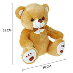 Webby Plush Cute Sitting Teddy Bear Soft Toys With Neck Bow (Brown Color) | Grocsy