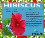 Qykkare Premium Hibiscus Powder For Hair Growth | Grocsy