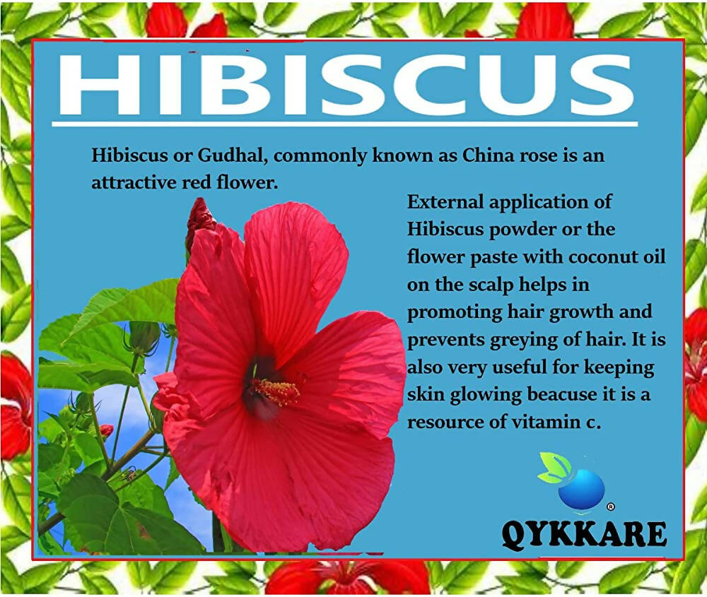 Qykkare Premium Hibiscus Powder For Hair Growth | Grocsy