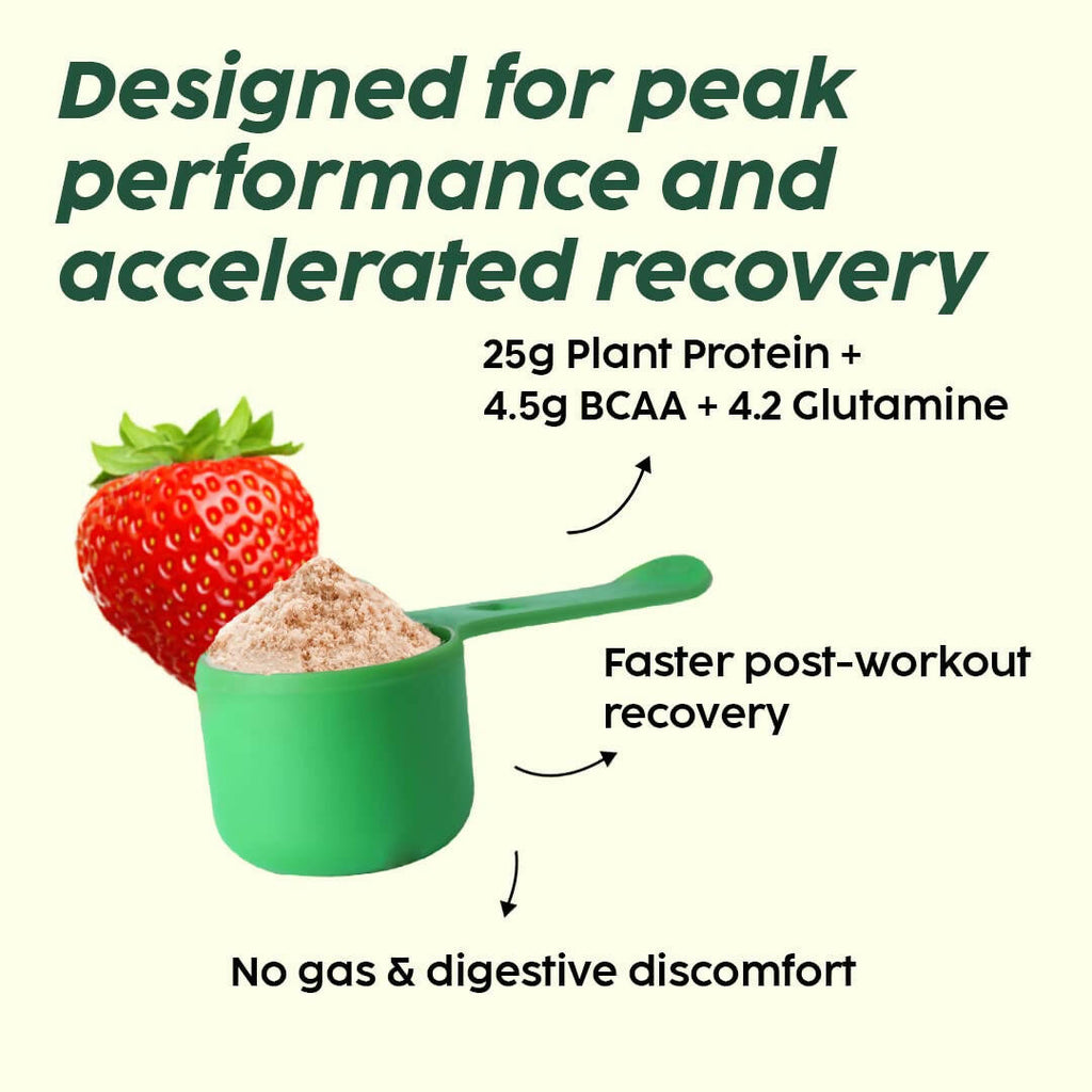 PLIX The Plant Fix Evolve Plant Protein Shake Powder - Mixed Berry | Grocsy