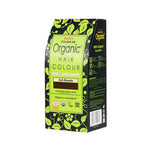 Radico Organic Hair Colour-Ash Blonde | Grocsy