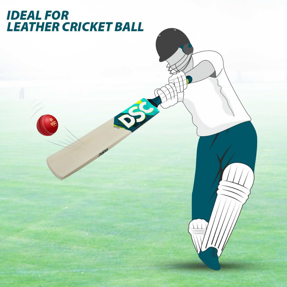 DSC Belter Wood Kashmir Willow Cricket Bat | Grocsy
