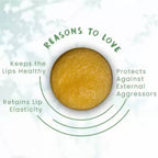 FOY Naturals Coco Mango Lip Scrub | Grocsy