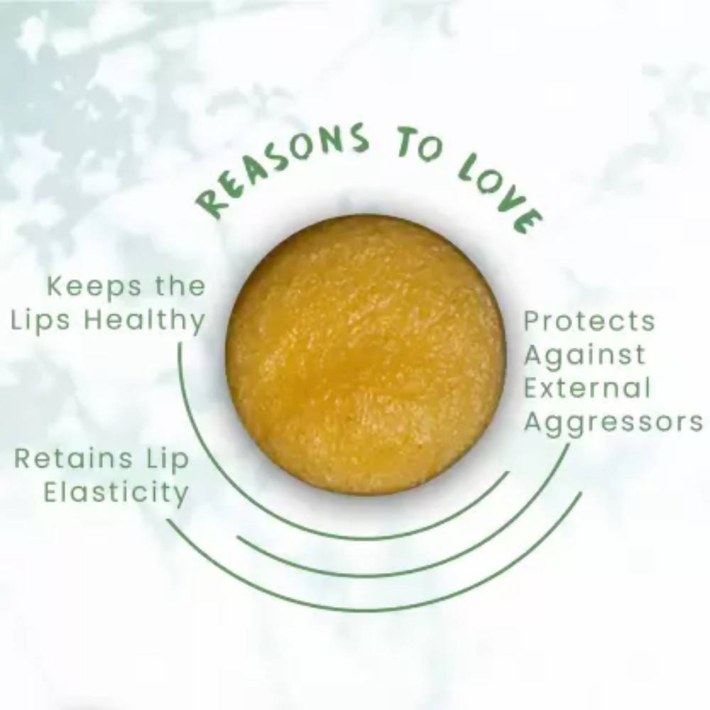 FOY Naturals Coco Mango Lip Scrub | Grocsy