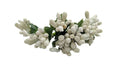 White Pollens | Grocsy