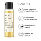 Brillare Tea Tree Hair Oil with The Goodness of Lemon & Sunflower Oil Dry | Grocsy