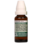 Dr. Willmar Schwabe Germany Gnaphalium Pentarkan Ptk. 49 Drops | Grocsy