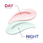 Renee Day & Night Face Cream | Grocsy