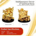 GJ Golden Laughing Buddha with Dragon & Coins Statue | Grocsy