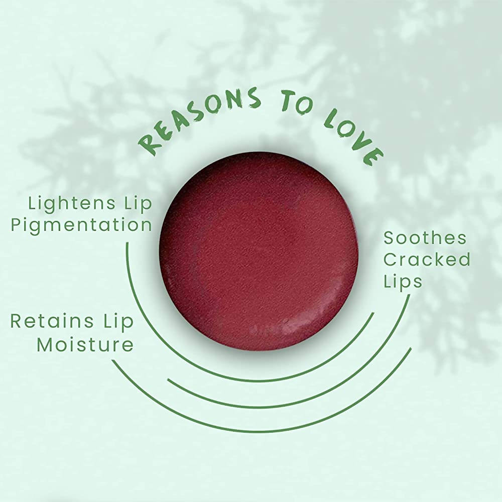 FOY Naturals Cocoa Mint Lip Balm | Grocsy