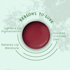 FOY Naturals Cocoa Mint Lip Balm | Grocsy
