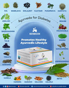 Benmoon Ayurveda Biobetes Crush Sachets | Grocsy