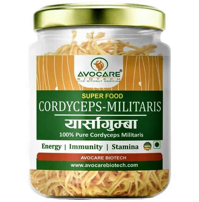 Avocare Biotech Cordyceps Militaris | Grocsy